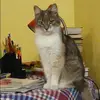 Отзыв от Ираида Филатова